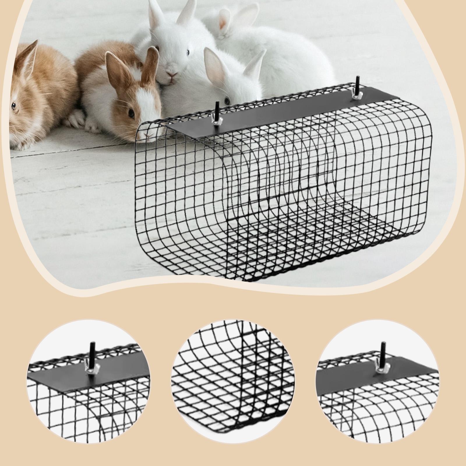 Tunnel et cachette robuste pou - Rabbit Cage Wire avis et prix