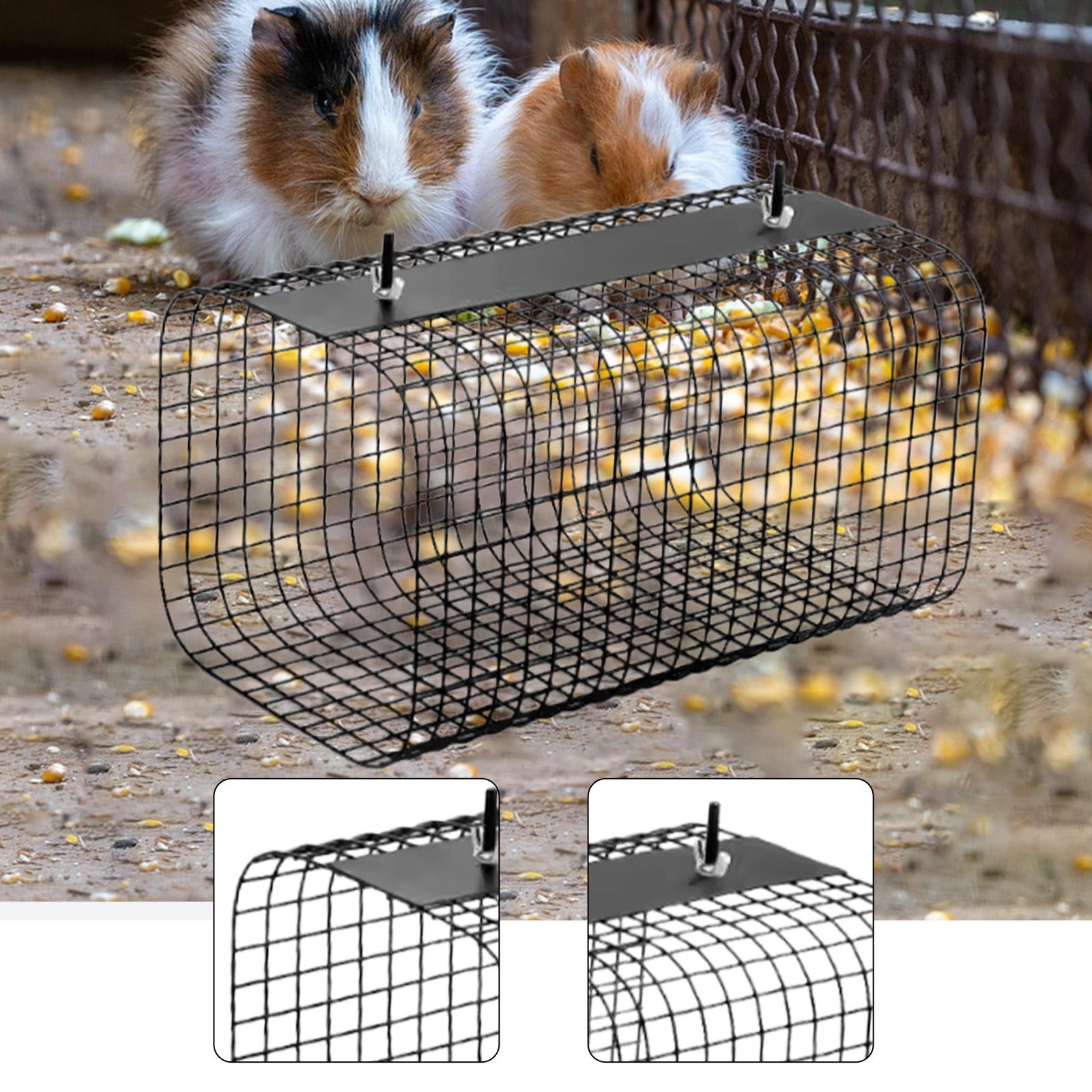 Tunnel et cachette robuste pou - Rabbit Cage Wire avis et prix