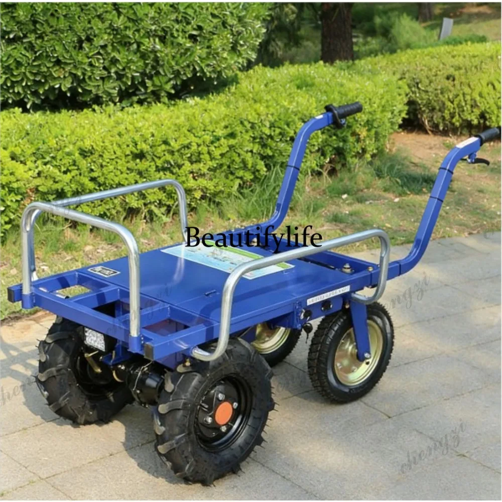Tricycles électriques et chari - Agriculture Farming Livestock avis et prix