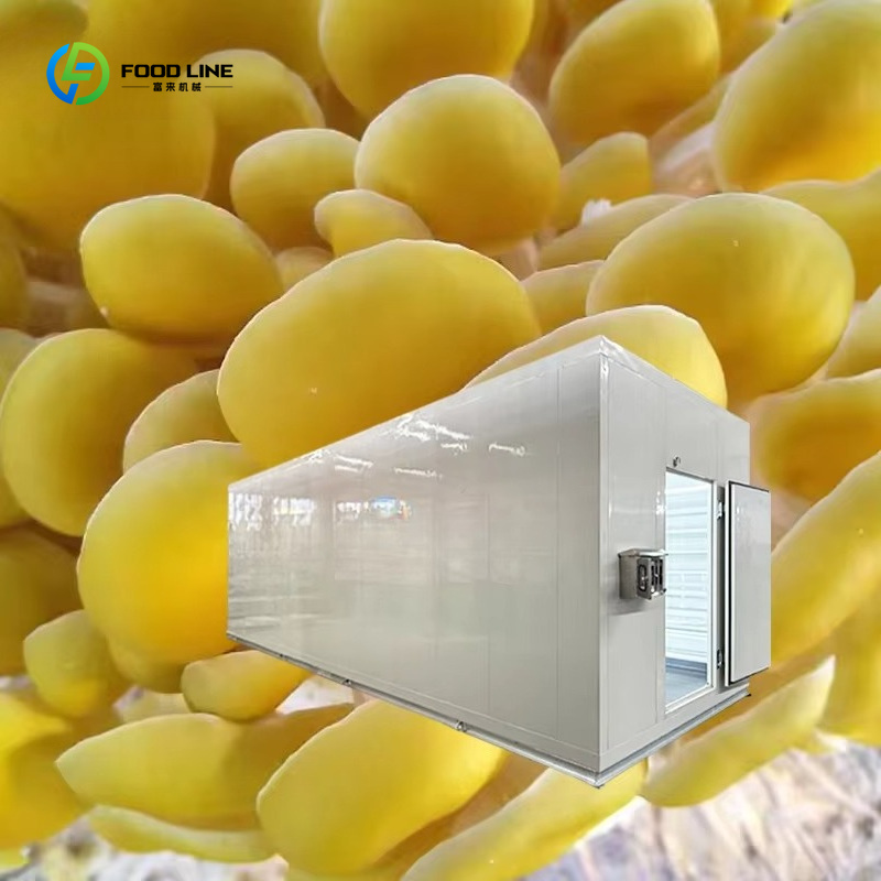 Système de culture de champign - Agriculture Farming Technology avis et prix