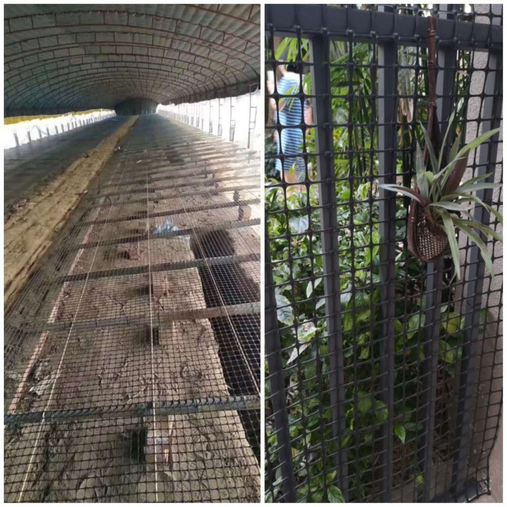 Filet de treillis de jardin en - Rabbit Cage Wire avis et prix