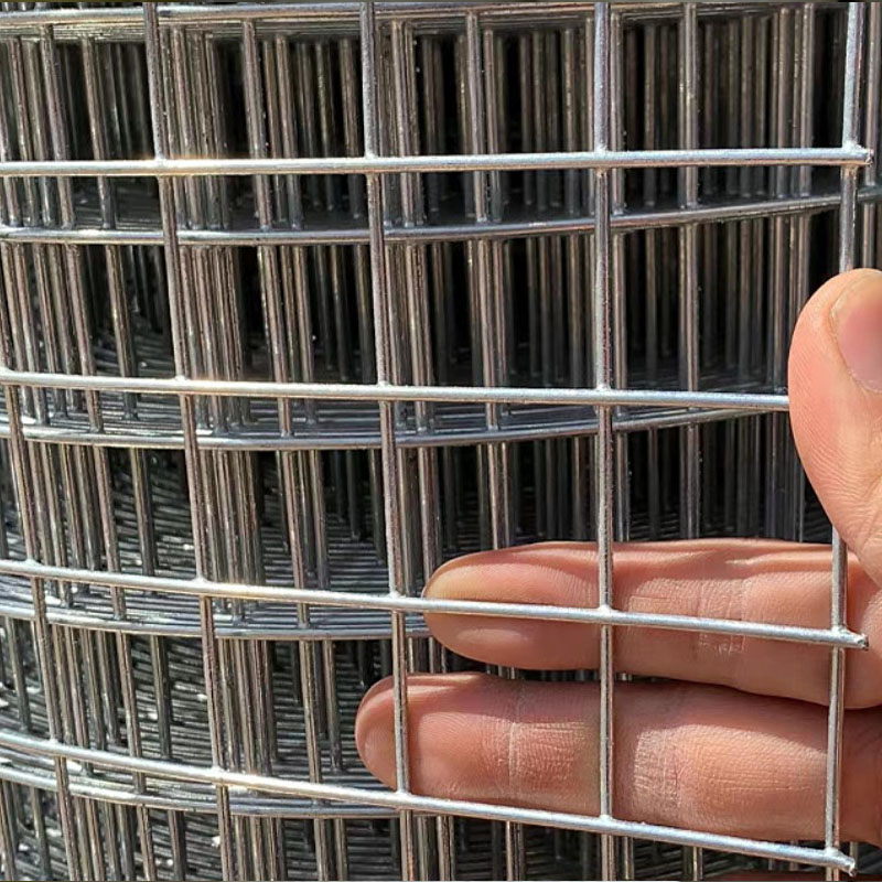 Rouleau entier à trou de 6mm,  - Rabbit Cage Wire avis et prix