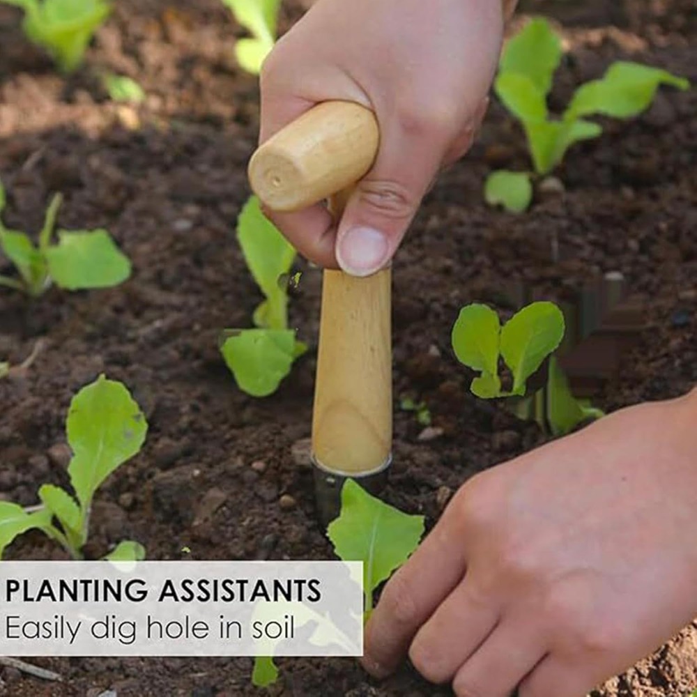 Outil de repiquage pour semis  - Vegetable Transplanter avis et prix