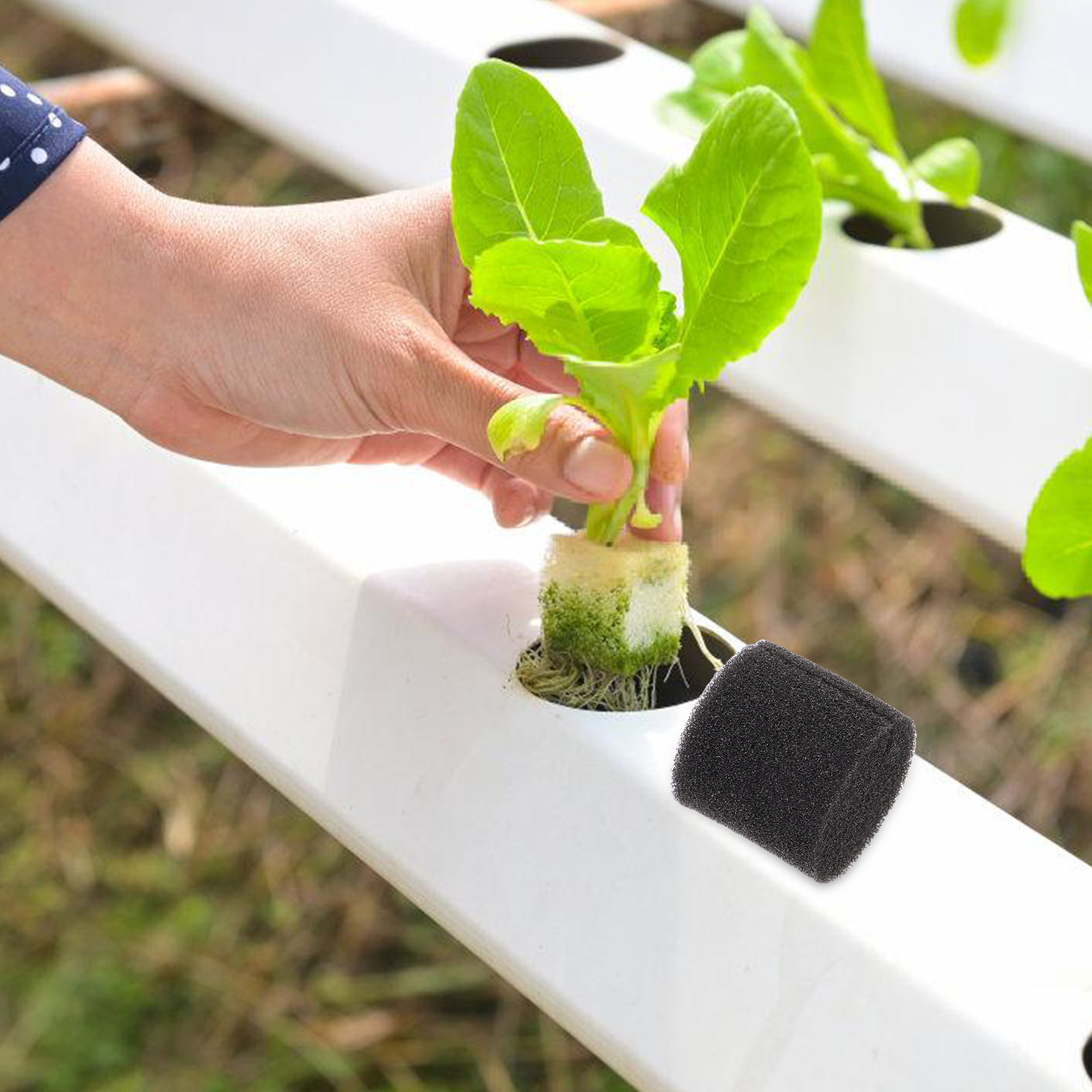 100 blocs de démarrage en épon - Vegetable Transplanter avis et prix