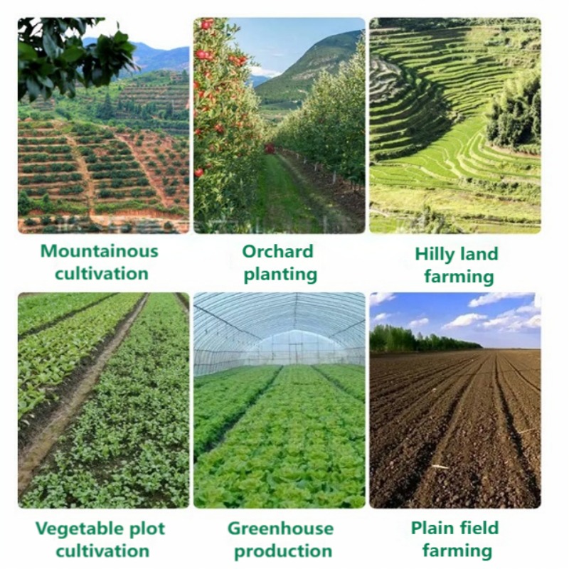 Semoir manuel de précision mul - Vegetable Transplanter avis et prix