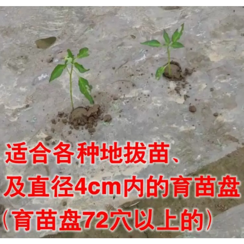 Transplanteur de semis agricol - Vegetable Transplanter avis et prix